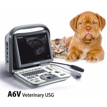 USG Portable Veterinary A6V Sonoscape